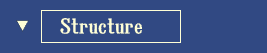 Company Structure