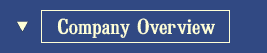 Company Overview